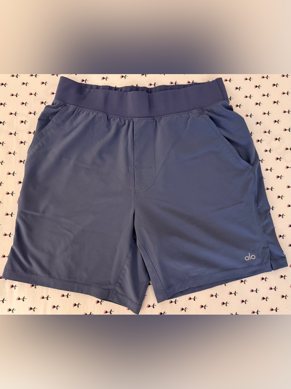 ALO Yoga Repetition Shorts – Men’s Size M – Bluestone – 7” Inseam – EUC